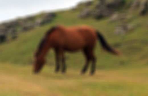 Ata tecavüz ederken yakalandı para cezasıyla kurtuldu