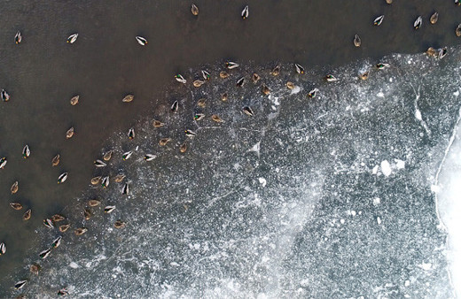 Gölün yüzeyi buz tuttu ortaya kartpostallık görüntüler çıktı