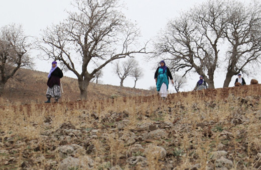 Mezarlarını yerinde bulamayan köylülerin korkunç iddiası