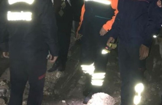 Mardin'de ahır çöktü 74 hayvan telef oldu