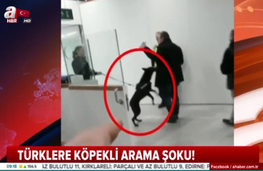Hollanda’da yine skandal: Türklere köpekli arama şoku
