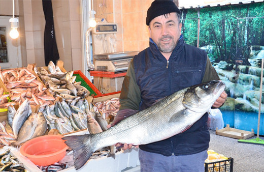 Dev levrek kuzu fiyatına satıldı