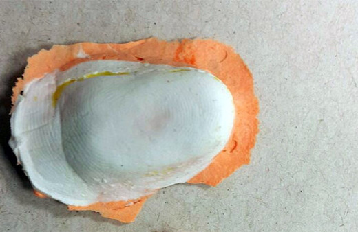 Teröristlerin evinden 9 ayrı işaret parmağı çıktı!