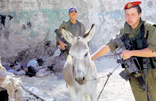 Sonunda bu da oldu! İsrail askerleri çiftçilerin eşeklerine göz koydu