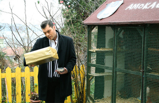 Şevkat Yerimdar 32. bölüm 2. fragmanı