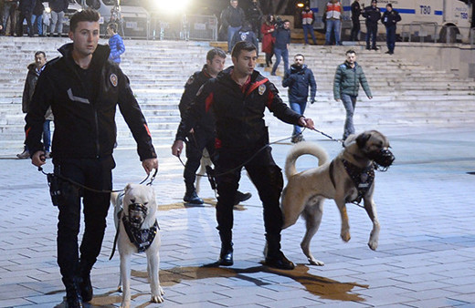 Kangallar polis köpeği oldu devriyeye çıktı