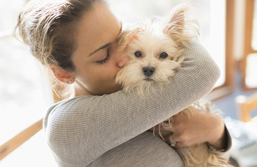 Emniyette hayvanlara şiddet’ masası kuruldu