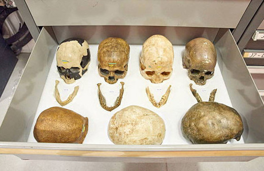 Cezayir'de soykırım yapıp kafataslarıyla Paris'te müze açmışlar!