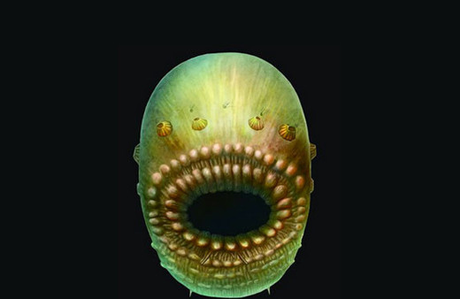 İnsanlığın ilk atası bulundu biraz şaşırtıcı