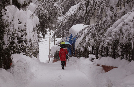 Trabzon'da kar yolları kapadı!