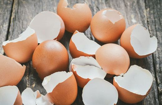 Yumurtanın kabuğunu kaynatıp fırına verirseniz...