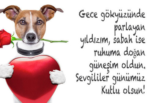 Sevgililer günü mesajları 14 Şubat sevgililer günü sözleri