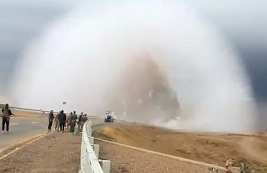 İlk kez bu kadar net görüntülendi! Önce iç organları..