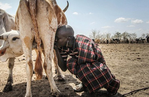 Hayatta kalması için bunu yapması şart! En ilkel kabile
