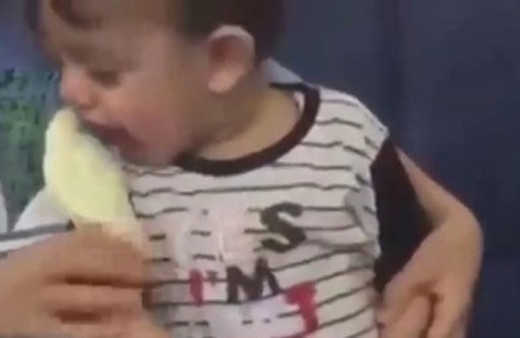 Kuşu sevmek isterken yiyen çocuk