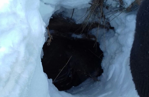 Bingöl'de PKK operasyonu imha edildiler