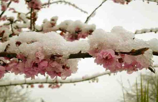 Cemre ne zaman düşecek? Havalar ısınacak mı?