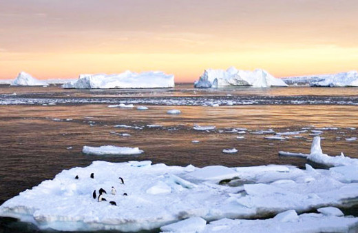 Kutupları yeniden dondurmanın bedeli 500 milyon dolar