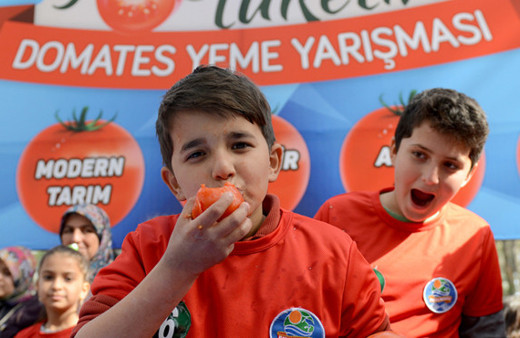 3 dakikada 13,5 kilogram domates yediler