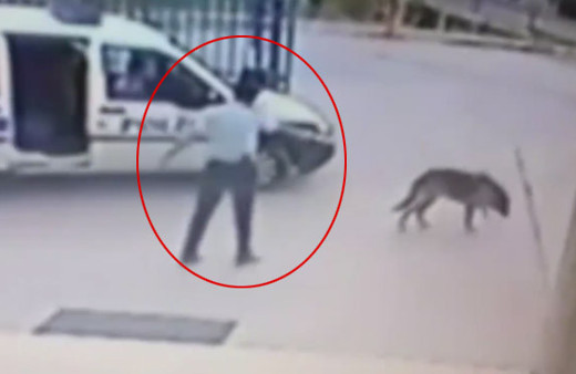 Türkiye günlerce konuşmuştu! O isim FETÖ'cü çıktı