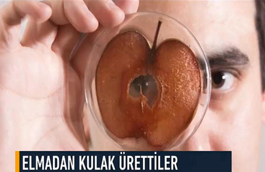 Elmadan kulak ürettiler