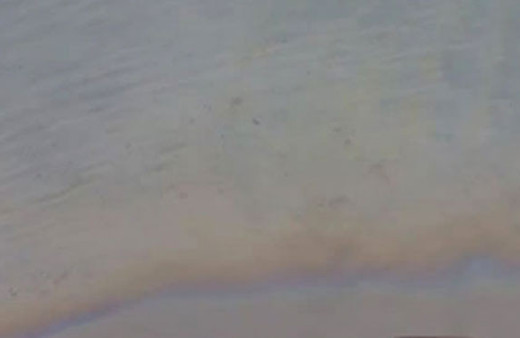 Beykoz'da neler oluyor ekipler harekete geçti