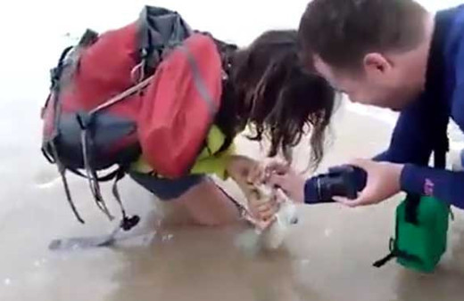 Köpek balığı ile fotoğraf çektirmeye kalkışınca...