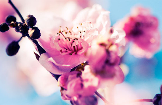 Cemre ne zaman düşecek 2017'de toprak hava ve suya...