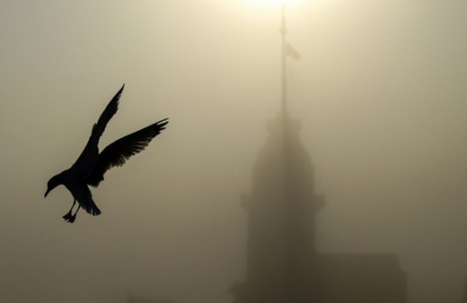 İstanbul siste bile bir başka güzel