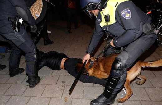 Hollanda polisi açıklama yaptı! Çok sayıda Türk...