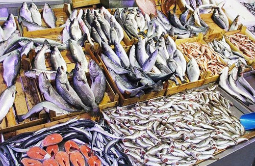 Türk su ürünleri Meksika'da tanıtıldı