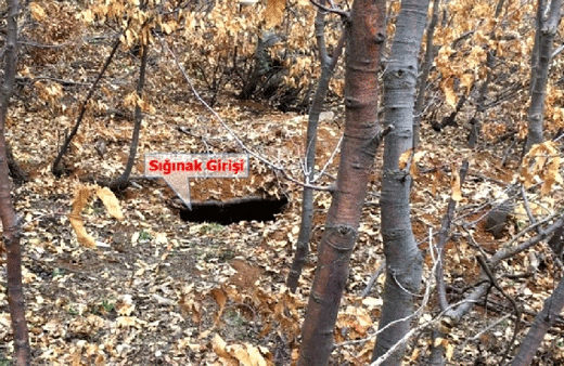 Lice'deki dev PKK operasyonunda son durum ne?