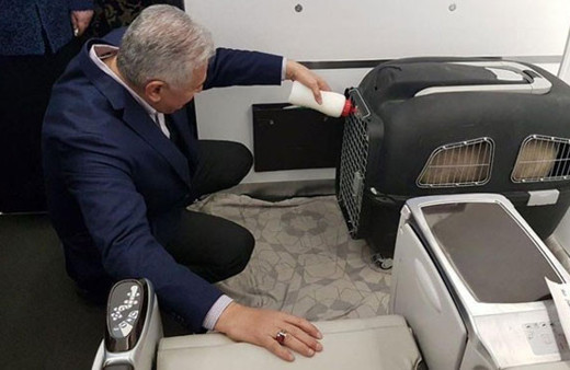 Başbakan uçağına aldı kendi elleriyle besledi!