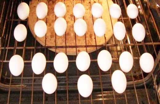 Yumurtayı alın fırına atın bakın neler olacak 