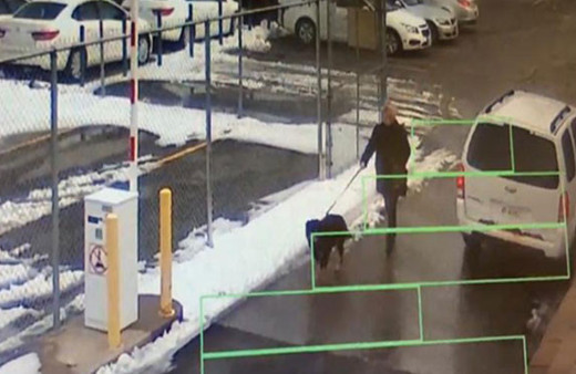 Bariyer kadının kafarına indi