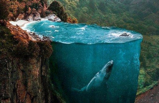 Türk sanatçıdan muhteşem çalışmalar