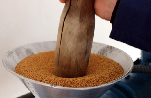 Çiftçinin yeni umudu incir çekirdeği