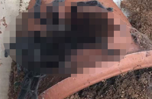 İlk kez oldu terör operasyonunda ele geçirildi