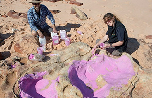 Dünyanın en büyük dinozor ayak izi bulundu