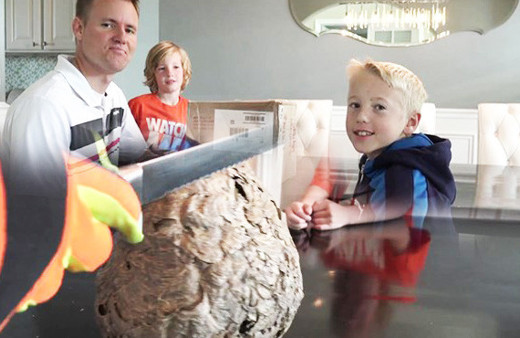 Arı kovanını ortadan ikiye ayırdılar! Bakın içinden neler çıktı