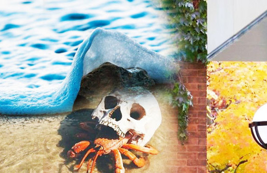 Bu fotoğrafların gerçek olduğuna inanabilecek misiniz?