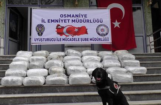 Hayvan gübresine esrar saklamışlar!