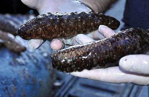 İhbar ortaya çıkardı hepsi şüpheli minibüsten çıktı!