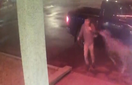 Yolda yürürken bir anda geyik çarptı