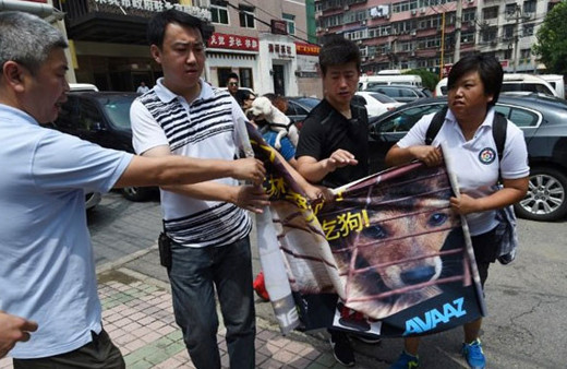 Tayvan'da kedi ve köpek etlerinin yenilmesine yasak