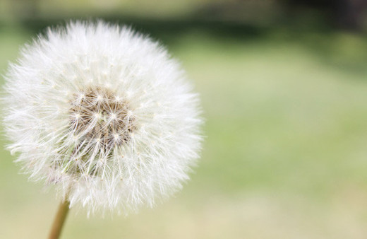 Sabah hapşırmalarına dikkat! Bakın neye işaret
