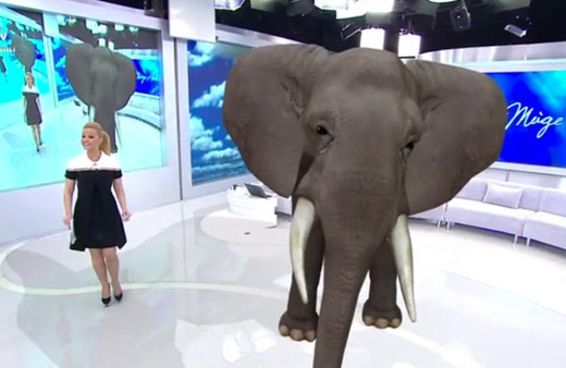 Müge Anlı'dan bir ilk! Kayıp fili buldu