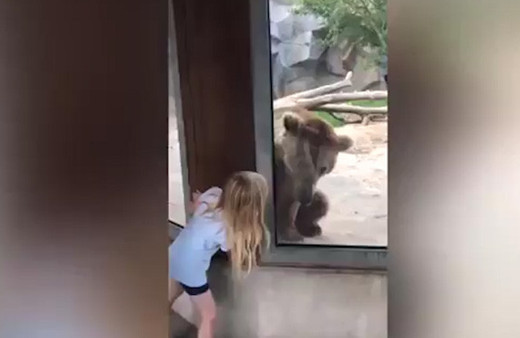 Ayıyla saklambaç oynayan kız