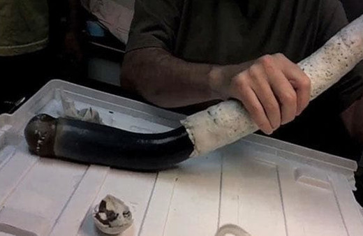 Ne olduğuna inanamayacaksınız! İlk kez yakalandı