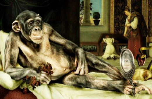 Para kullanmayı öğrenen maymunlar fuhuş yaptı inanılmaz!